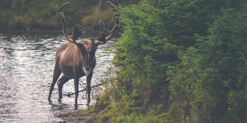 从舞台搭建到动线规划：打造一场引爆朋友圈的音乐节风格后院派对全攻略