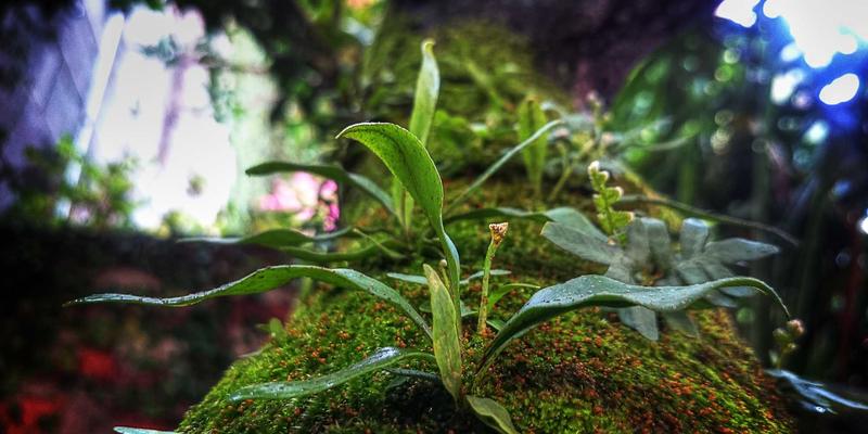 惊喜派对策划全攻略：从保密到执行的完美方案 | 嗨皮派对与企业活动专家指南